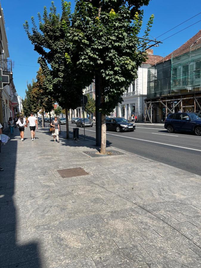 Ndl Downtown Cluj Aparthotel Exteriör bild
